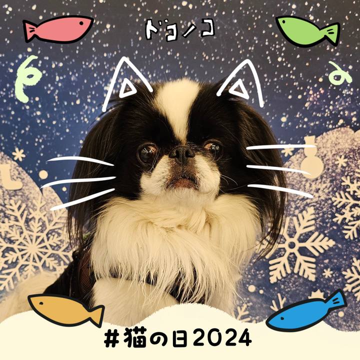 E49036c9 f7f8 4f89 802c 28fc3c7cf581 1708608438884