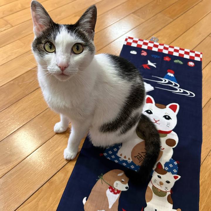 E4904e21 e417 4109 ae66 612e22269803 1715769943373