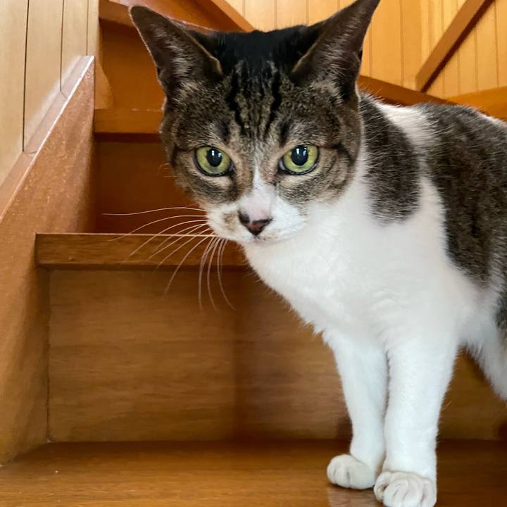 E49066e0 a0e9 4c31 9695 550fddcf8a0c 1645750893698