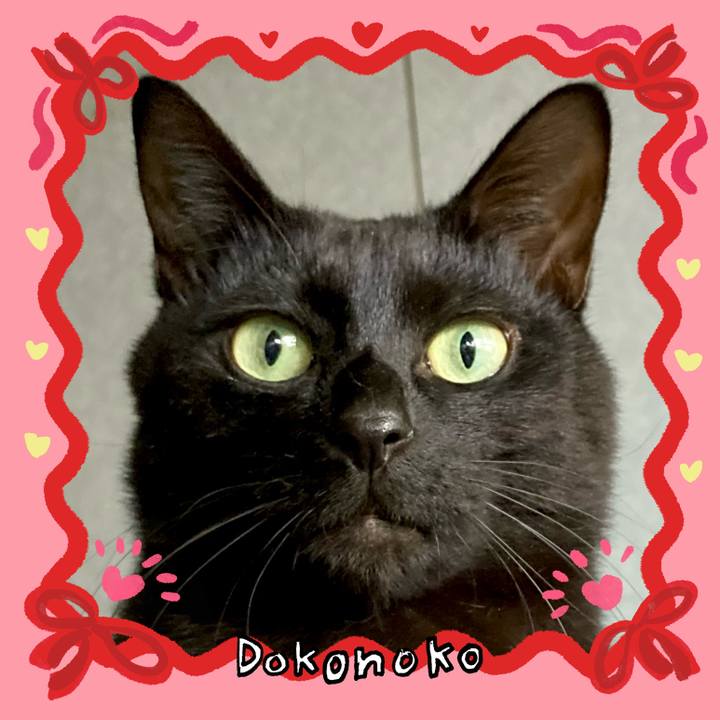 E4909705 492e 4e24 9246 7861b6a3a1e8 1707029233839