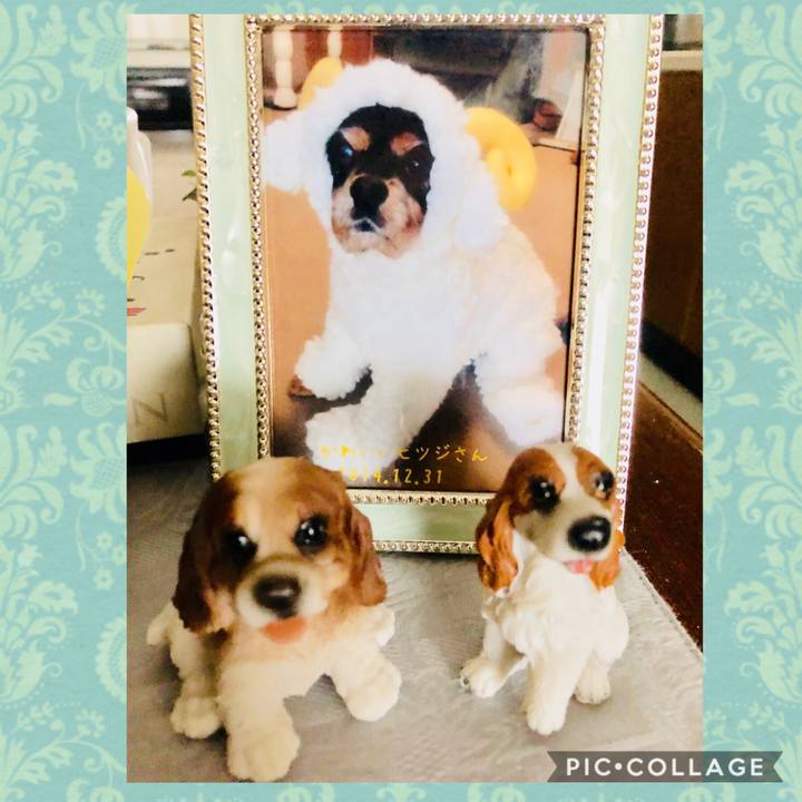 E490c3ee ee06 48e8 9b60 d29b2988fe89 1547275870386