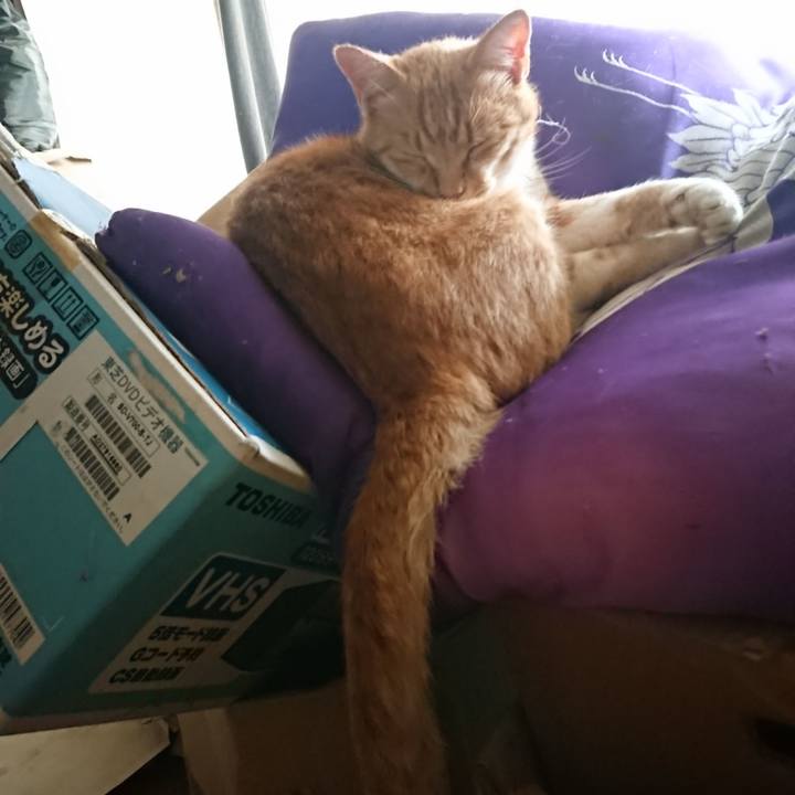 E490d039 8f4f 42eb 93b5 5615f5b1f6bc 1596782603958