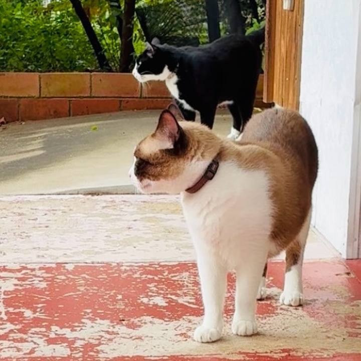 E490d109 cede 4baf b521 1a4abbb385b6 1758354573318