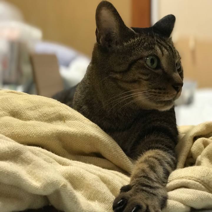 E490d468 08d0 4bdf 9de7 03207b5fd9ea 1535937194726