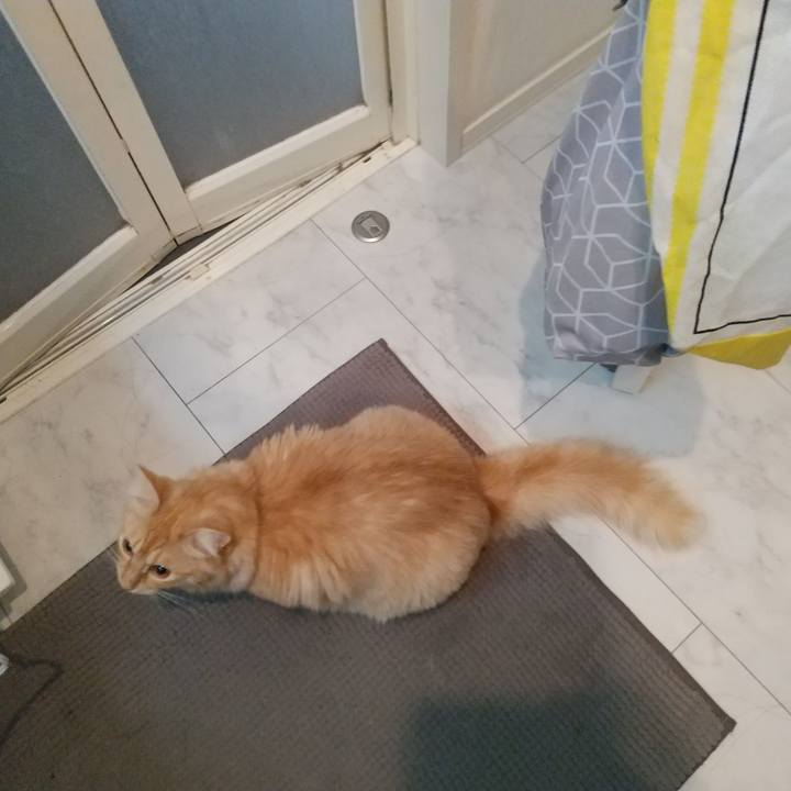 E490f471 a462 4751 a72a b79d902bba3c 1635111760443