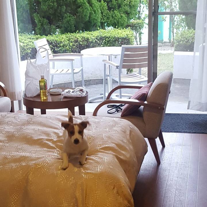 E4913e5e d0ff 40dc 9c83 16c5125a4bfc 1555588996104