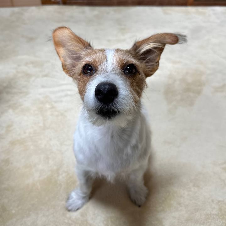 E4916788 67b2 41ed a977 51f8f797933d 1763603559118