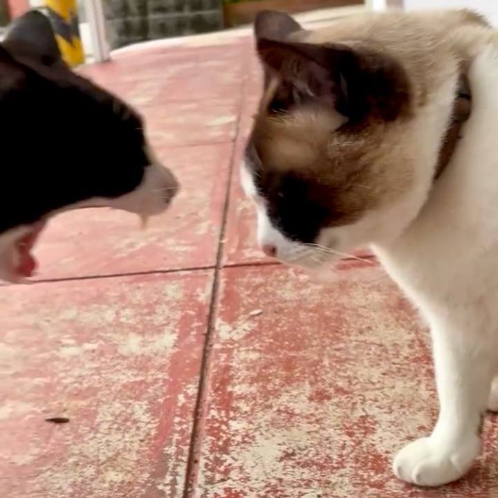 E49190ff e55b 4df0 b284 6bff2997d803 1747467521166