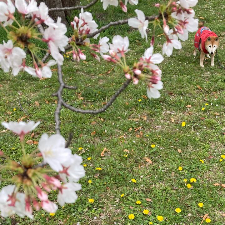 E491ec8b a37a 469a 8b9f 100abc60a012 1774930585943