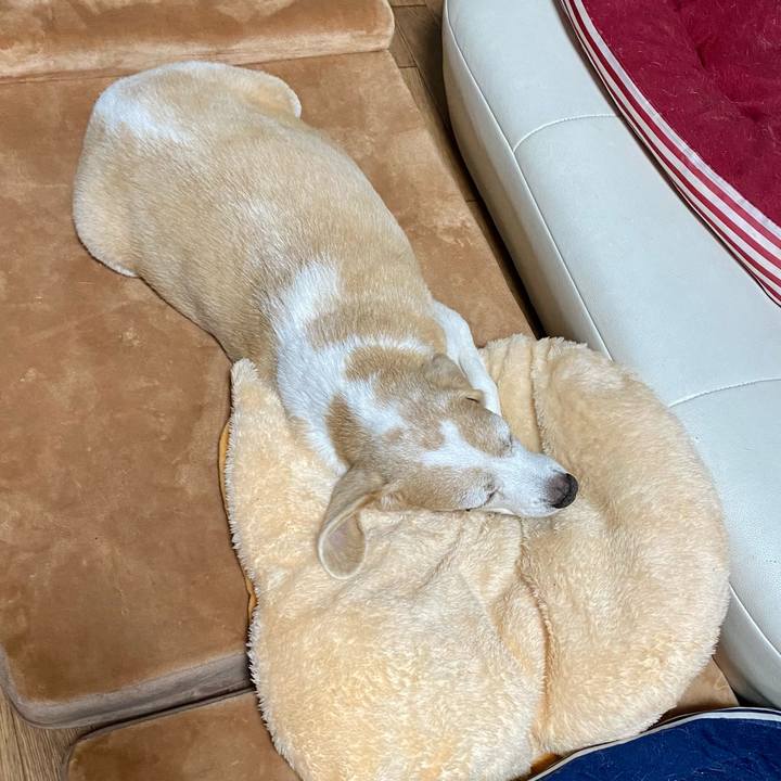 E4924ed3 1325 4939 86f8 0eca4e309baa 1606993977116