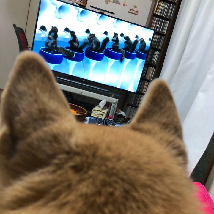 E492af33 c56b 462d 87a0 defa1b5816b1 1575898676675