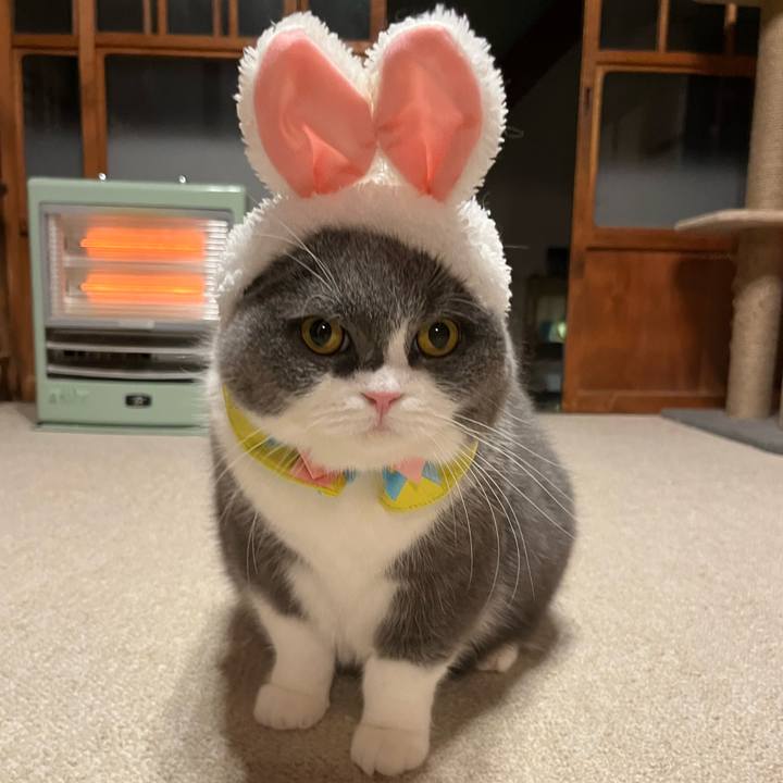 E492c79b 033e 414b bdab 65606604bc20 1672650464869