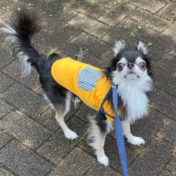 E492cf6c c6a2 4b19 b035 80a0050eb63d 1681619756492