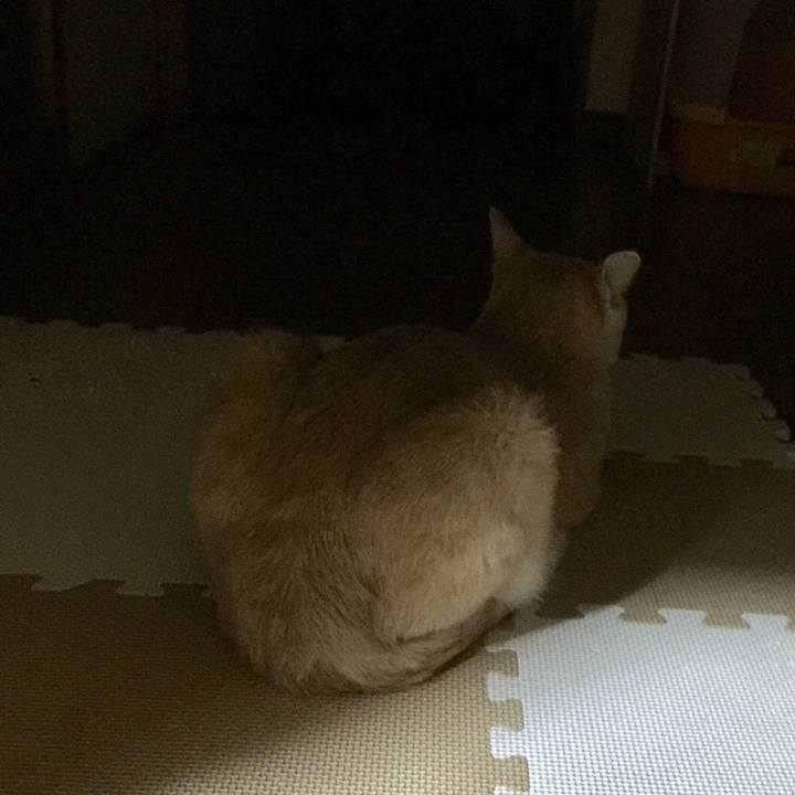 E492e516 59aa 4729 83dc 23d31b236cae 1536838580704