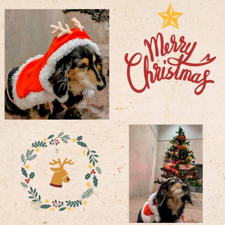 E49322a7 7bce 42b8 87ef 5253f5d7184e 1734735551796