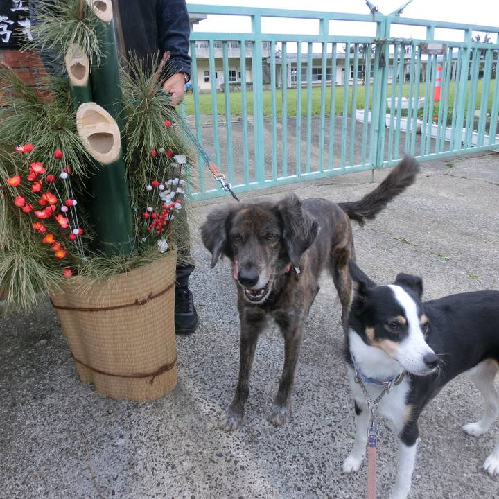 E493aea4 447d 4534 9989 2e2ebe191142 1672585083287