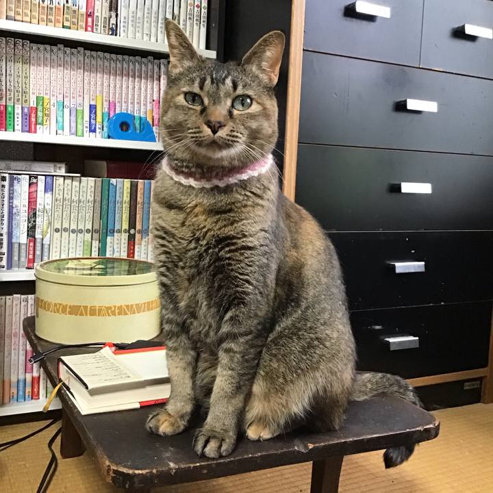 E493ecaf 300b 4e08 98e8 342453a4e086 1714376134270