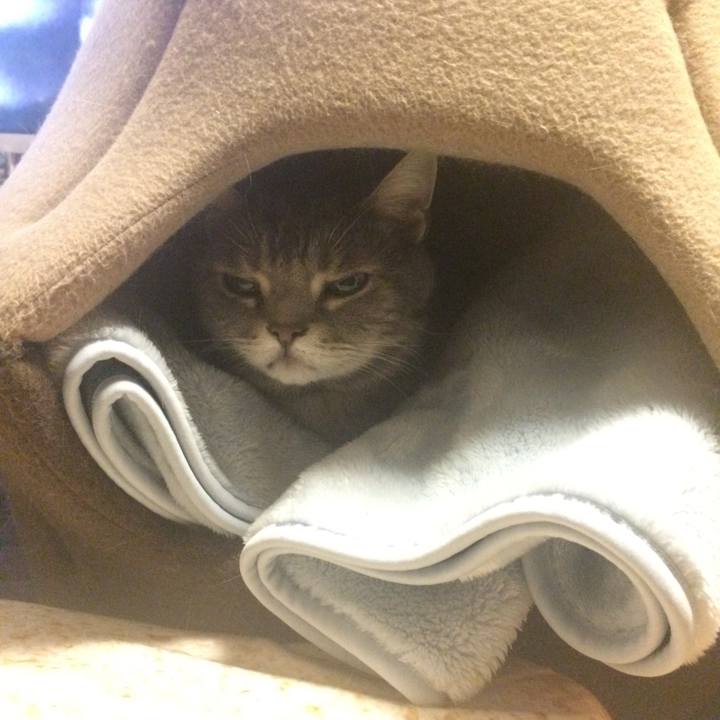 E4940aab c7cf 4de8 90a8 5220169d8c7f 1513502099175