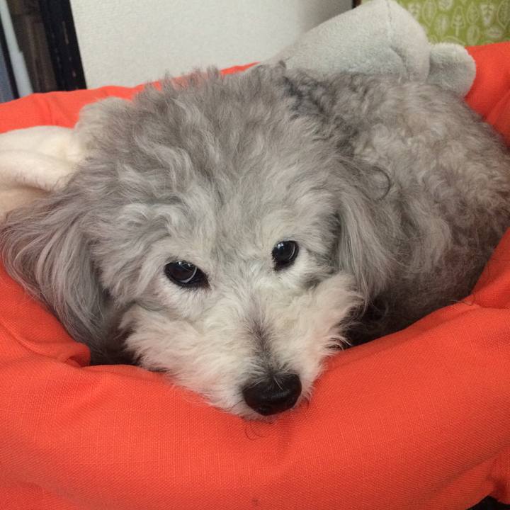 E4940c01 7f92 41ea 8e28 90df8ad287eb 1517698764786