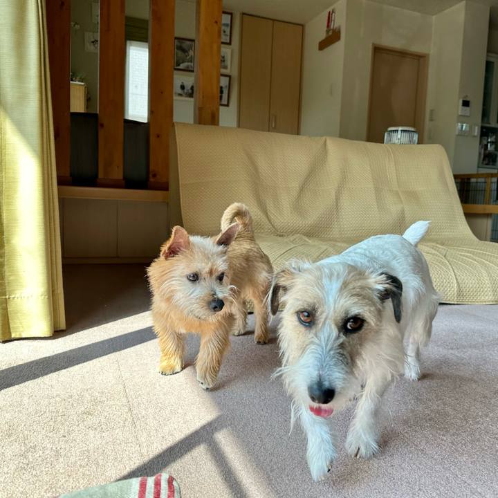 E4942f00 8762 4661 991e b9519e6a1e6c 1710567114478