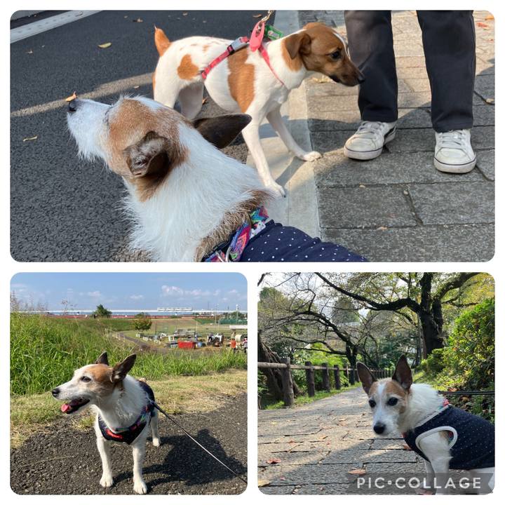 E49444a0 3d4f 4c1c bd0a 62fba25fa377 1698538010402