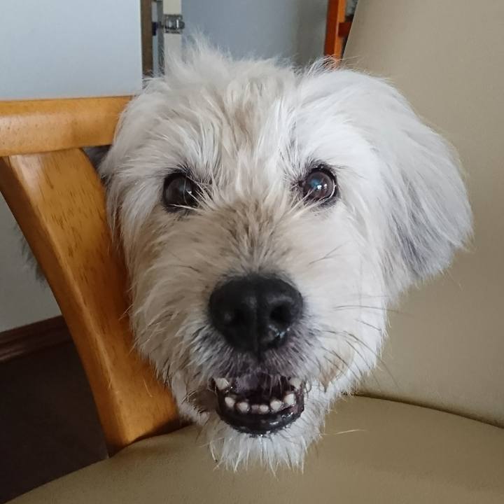 E4944b9a 3f59 4290 9357 f41f5b76ec2d 1566689710271