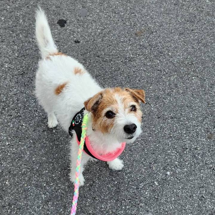 E4946118 1be5 44fe 8d34 cb2de5dae95f 1732524553081