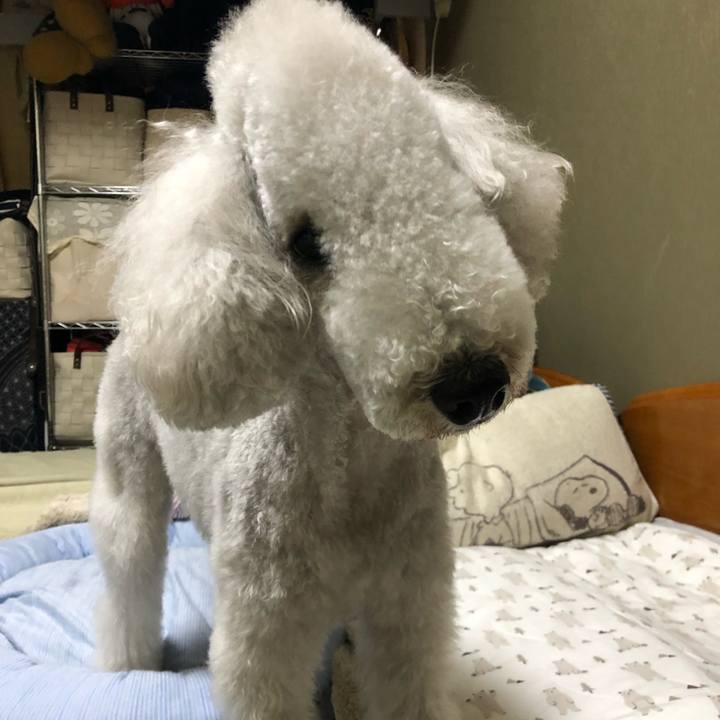 E4947464 127e 4457 9fd4 695819c37071 1651408043684