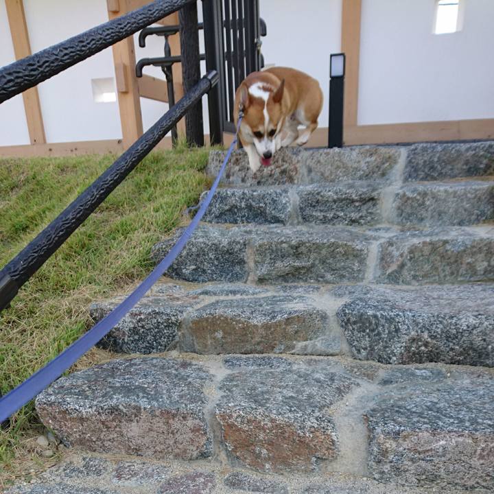 E494a350 55cc 455a 969a d4435ff2c944 1602049499590