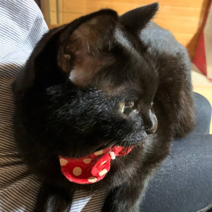 E494d0a0 212c 4459 b2be 07e8908d7c1e 1599139389809