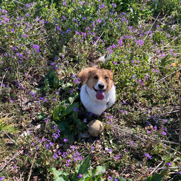 E494e25d 094a 4b24 baf8 9ec1a28b456c 1710732648338