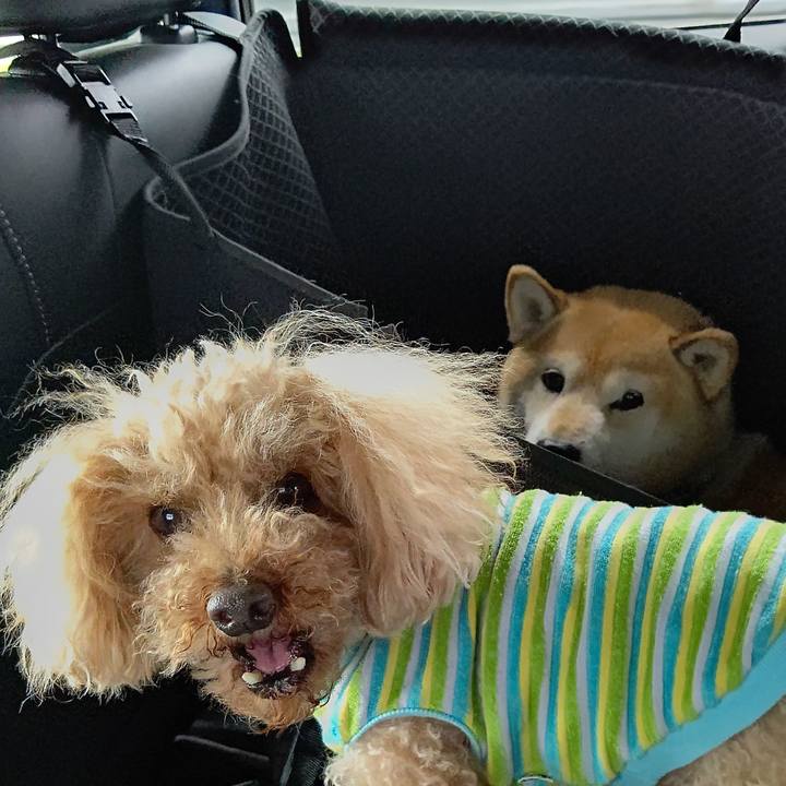 E494e483 0794 4a78 840e c504ebc96f65 1621731568618