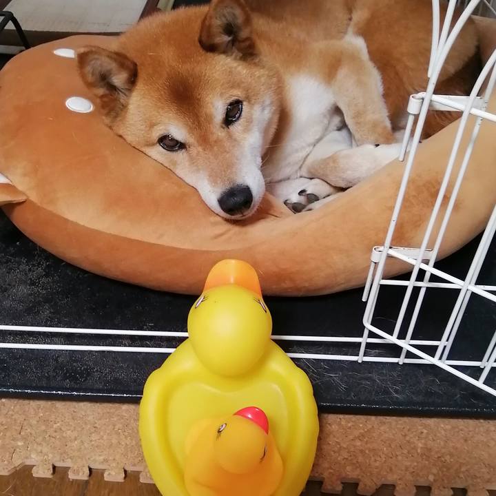 E494e612 24c3 4587 a89c 5515778f0b15 1618277472991