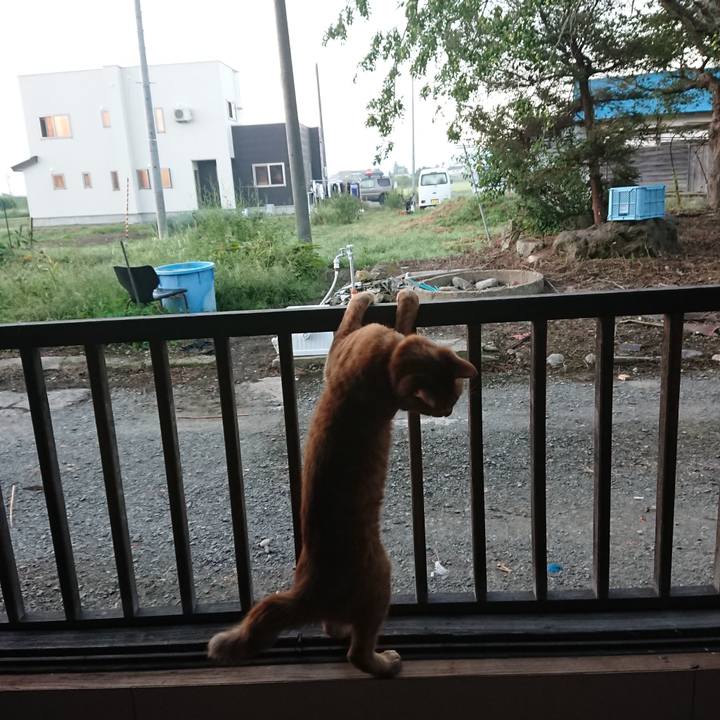 E494e81f d9e9 482a 95cc 1efe79b4a0f5 1662930574224