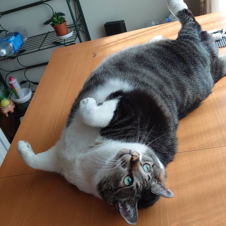 E494f569 2e6b 4d24 bc07 178b7472962d 1624315391520