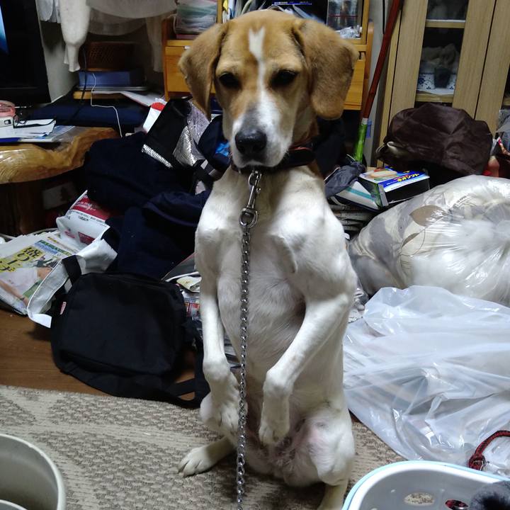 E494f9d0 1ba5 4f3a 9264 84582bfc2ccf 1618381028726