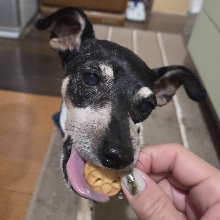 E49511a1 f8cd 417f 8173 3979e3bb6c5d 1756150802328