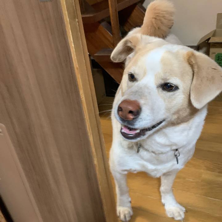 E4955d97 2737 4ff0 9d18 74619bc63a0c 1583810228368