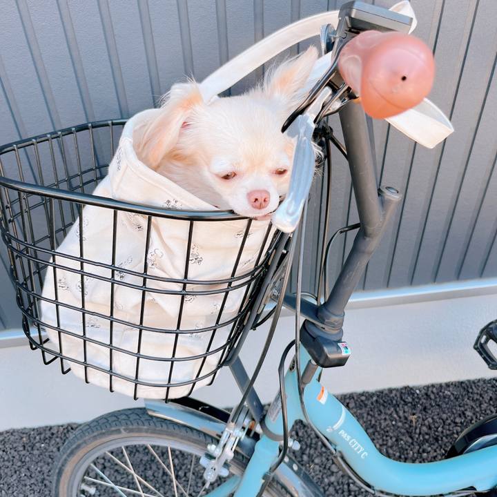 E49575ed dc6e 47f8 b0f1 2404da07e24a 1663318425972