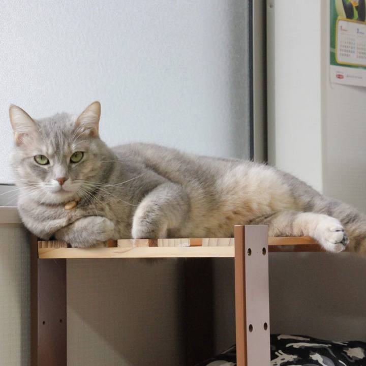 E4957ecc 60f5 444f 9d3e 78adbbe9f8b8 1573115339161