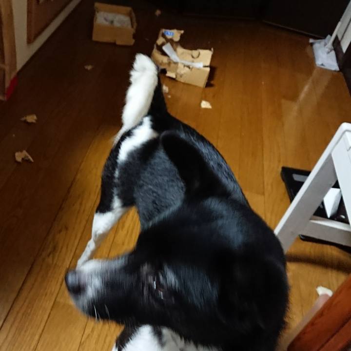 E4958044 df35 4a02 8129 e51480342b7a 1513501244387