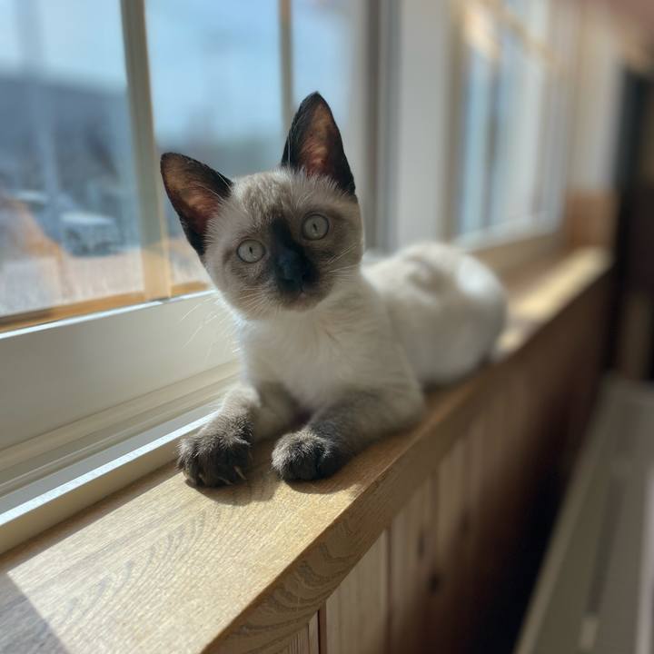 E4958053 9c08 4ee3 aeee ffba41a564ac 1690016636171