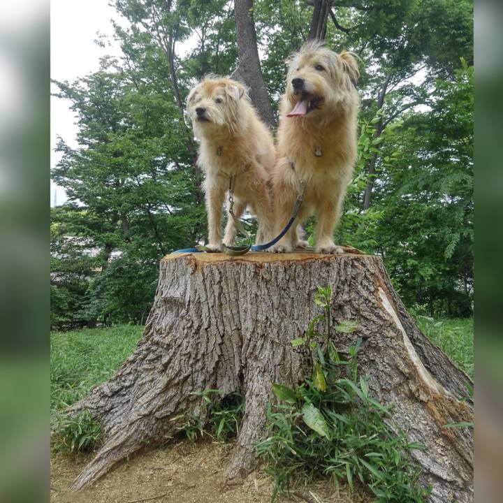 E49588af a34d 41da a861 a561f01cf5d5 1620231325468