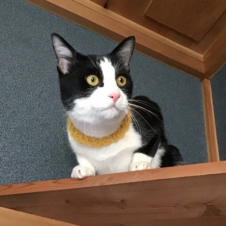 E495bd2b 6995 4211 b8f1 f87bf7a83885 1645691182039