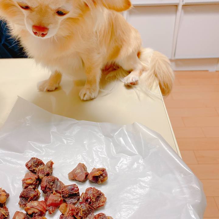 E495cb6b 78c4 45f8 8917 5438cab94637 1647156420979