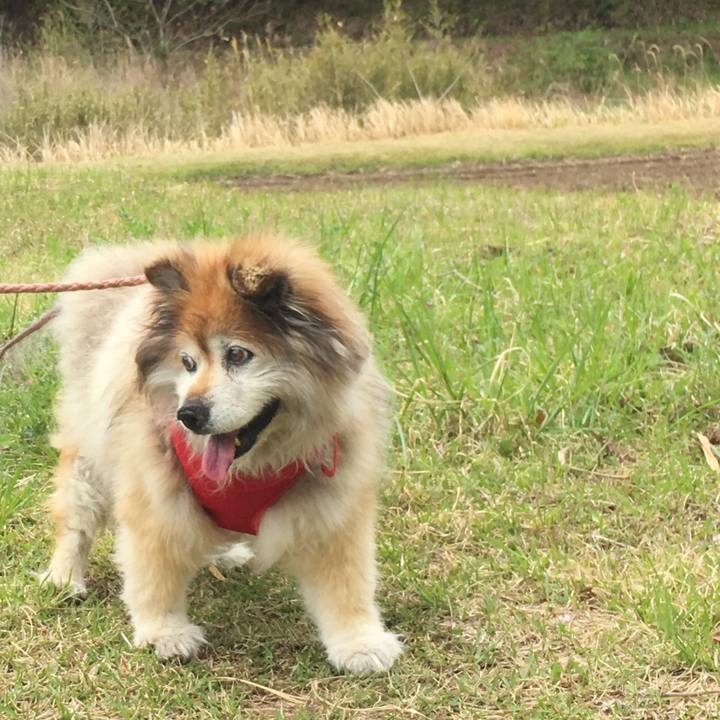 E495fe31 ffc6 449c bf7a c5b5eed95fd1 1557821415956