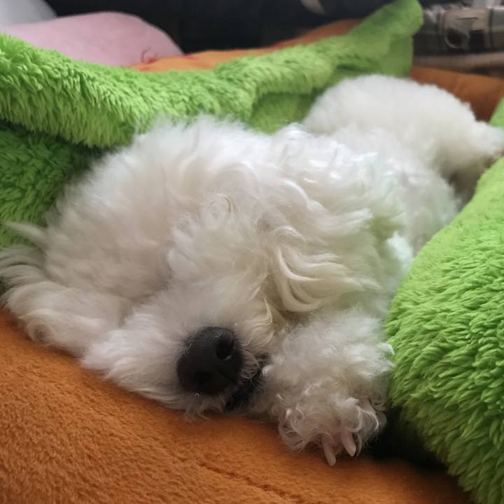 E49601f3 da43 4c5d 8d45 3a306af097bf 1565165094201