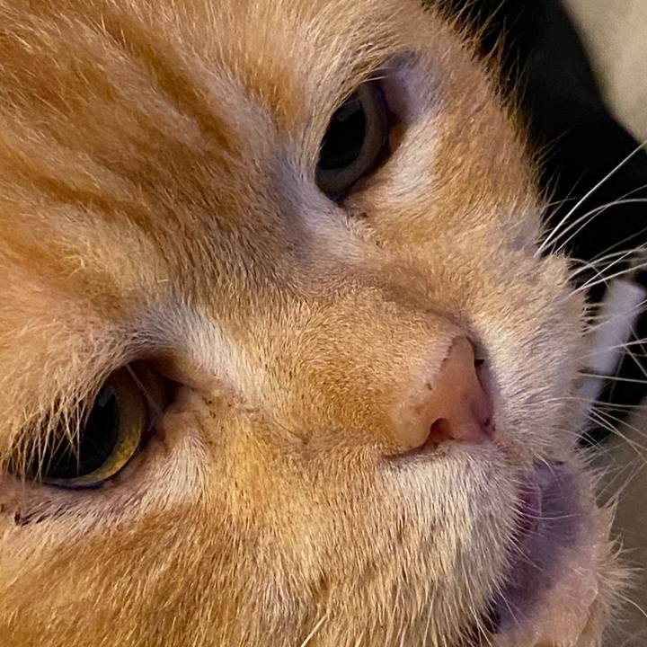 E4964a34 c81c 42a3 8ba1 d9d2d4092dbb 1600784591879