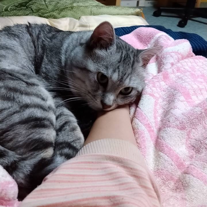 E4964e93 7de6 41e9 a15c 57c9658b8b35 1634737834833