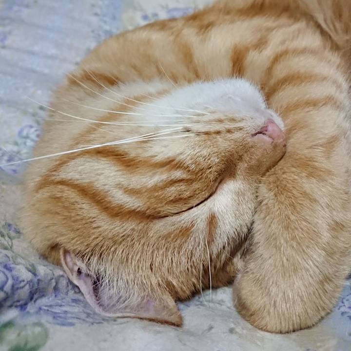 E4966b2d ebe4 45cc b7ec 11bf562e8afe 1662900299268